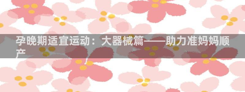 尊龙凯时白家乐Abb下载:孕晚期适宜运动:大器械篇——助力准